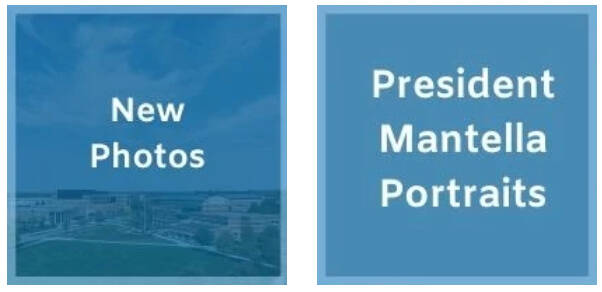 Image of Widen Spotlight Searches